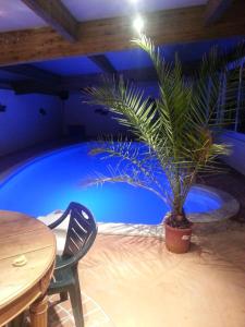 a plant in a pot next to a table and a pool at Le Tacot in Auxon-Dessus