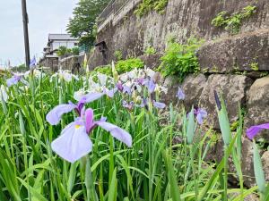 Zahrada ubytování Morita-ya Japanese style inn KujakuーVacation STAY 62460