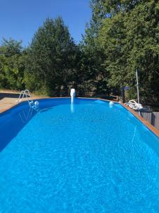 a large blue swimming pool with trees in the background at La Bergerie Luxury cottage and pool on eco-friendly micro-farm in Duravel