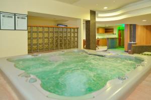 ein Whirlpool mitten im Zimmer in der Unterkunft Hill Hotel Wellness & Spa in Jagodina + 50 Fotos