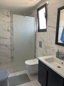a bathroom with a toilet and a sink at Penthouse Blueberry in Kérynia
