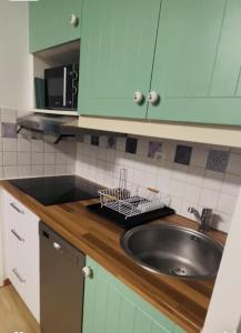 Una cocina con gabinetes verdes y un fregadero. en La Perle des Pins, en Lacanau 4 fotos más