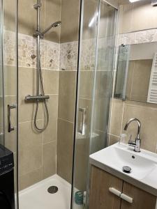 un baño con ducha y lavabo en La Perle des Pins, en Lacanau