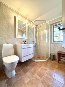 a bathroom with a shower and a toilet and a sink at Briskebu, cosy cabin by ski slopes in Geilo