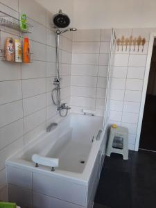Ένα μπάνιο στο Geschäfts und Ferienwohnung Magdeburg