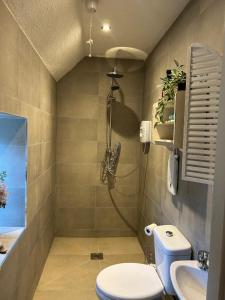un bagno con doccia, WC e lavandino di The Hollow a Laois
