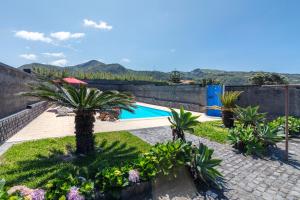 a garden with a swimming pool and some plants at Refúgio do Sol - Azorean Butler in Mosteiros