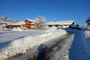 AkamsにあるFerienhof Baldaufの雪道