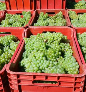 Φωτογραφία από το άλμπουμ του 1929 Wine Food Relax Agriturismo σε Acqui Terme