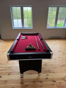 Τραπέζι μπιλιάρδου στο Lake Spa and Pool table - Le Gaia