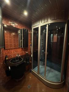 Ένα μπάνιο στο B&B Apartment Mountain View