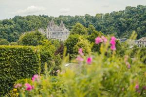 a building in the distance with pink flowers in the foreground at Villa Louise in Durbuy +40 photos