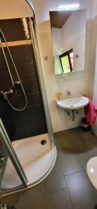 Bilik mandi di Ferienhaus LANA in Schenklengsfeld +7 gambar