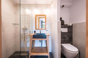 a bathroom with a sink and a toilet at Chalet Marmotte in Saint-Martin-de-Belleville +30 photos