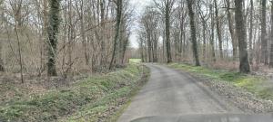 a dirt road with trees on the side of it at Seigneurie de Baulne in Baulne-en-Brie