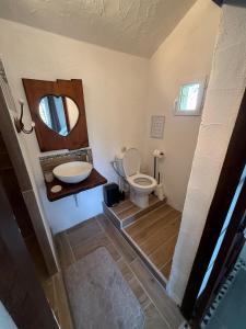 a bathroom with a toilet and a sink and a mirror at The Lodge in Bergerac +8 photos