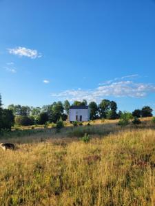 a house in the middle of a field at Dzika Warmia- domek bez sąsiadów na Warmii z balią i kominkiem in Glebisko