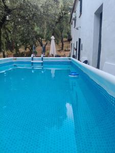 a large blue swimming pool next to a building at Casa rural Alicia in Cortegana