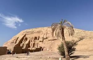 a palm tree in front of a rock wall at Roushdy Guest House in Abu Simbel