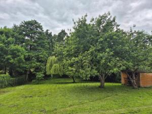 a tree in a field next to a building at Bungalow Bliss in Carlow