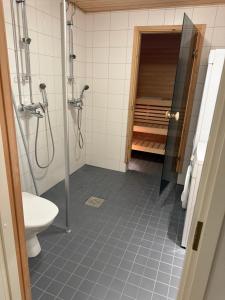 a bathroom with a shower and a toilet at Tallukantie Sauna-apartamentti in Asikkala +5 photos