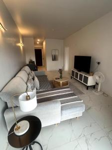 Nathon BayにあるChic apartment in Replay - 100 m from the beachのソファとテレビのあるリビングルーム