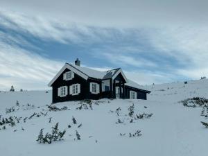 a black house in a snow covered field at Traditional Mountain Cabin Near Hallingskarvet in Torpo