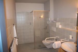 a bathroom with a shower and a toilet and a sink at Hotel Restaurant Zum Jägerheim in Braunschweig +13 photos