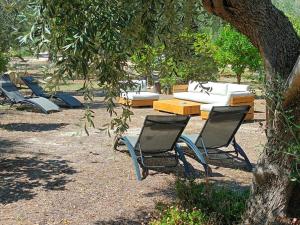 a group of chairs and tables under a tree at Casa Piano Piccolo 3 in Vieste