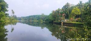 a river with a house on the side of it at Foresta Thattekkadu Pool Resort in Thattakād