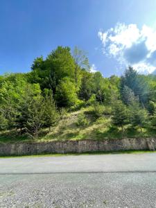 an empty road next to a hill with trees at Villa Gryka in Peje
