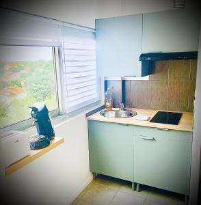 a small kitchen with a sink and a window at 15G Bron centre hôpital Desgenette Vinatier in Bron