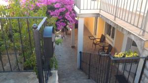 Balkón nebo terasa v ubytování Apartment Mile