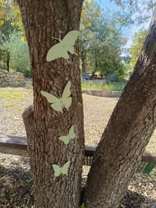 Gallery image of Campagne de la source St Martin B&B in Cotignac