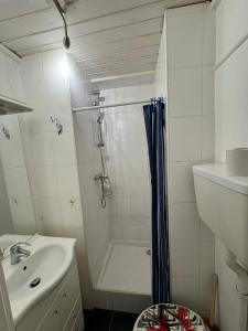 Et badeværelse på Charmant studio centre ville d'Aix-les-bains