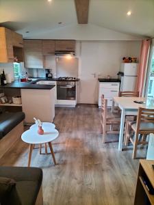 Kuchyň nebo kuchyňský kout v ubytování Mobil-home haut standing - Séjour idéal entre Lac & Océan !