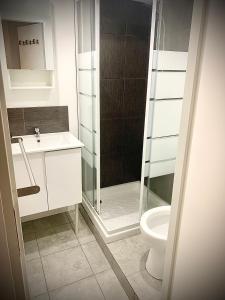 a bathroom with a shower and a toilet at 15D Vinatier Grange Blanche Bron Essarts in Bron