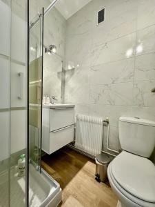 a bathroom with a toilet and a sink and a shower at Le petit chartreux in Grenoble