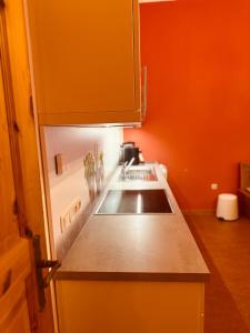 a kitchen with a sink and an orange wall at Naturnah bei Weimar in Nermsdorf +13 photos