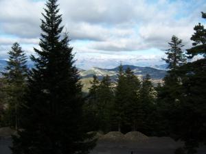 a group of trees with a mountain in the background at Appartements les Bressanes in Selonnet +3 photos