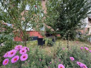 a garden with pink flowers in front of a building at Landidyll am Knüll in Alheim