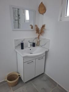 un bagno con un lavandino bianco e uno specchio di Casuța Râului a Zărneşti Altre 22 foto