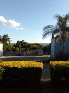 una calle con flores amarillas frente a un edificio en Auntie Joy Home, en Pretoria