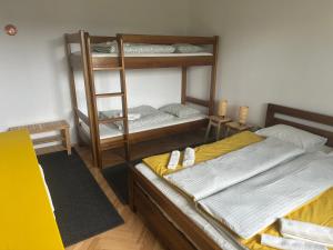 a room with two bunk beds and a ladder at Apartmán u staré rechle in Lenora