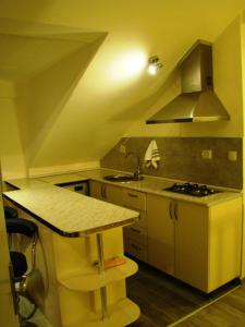 Una pequeña cocina con fregadero y estufa. en Apartment Betlemi, en Tiflis