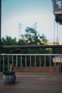 a plant in a pot sitting on top of a table at Room in Rome in Rome