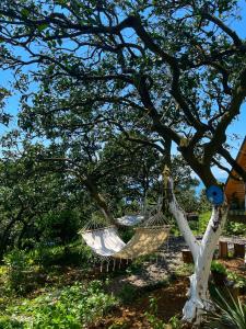 Fotografie z fotogalerie ubytování Sunland-სანლენდი v destinaci Buknari