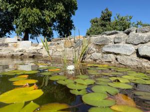 Фотография из галереи chalupa na Samotě s vířivkou в Таборе