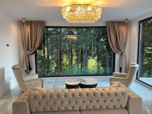 a living room with a couch and a large window at Pine Hill 2 in Poiana Mărului