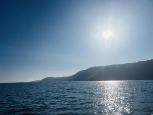 Природа в окрестностях мотеля